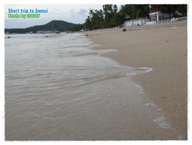 NST_USM51.JPG